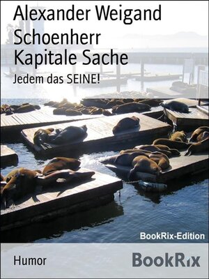 cover image of Kapitale Sache